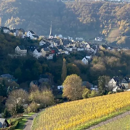 Ter Wadding An Der Mosel Apart Otel