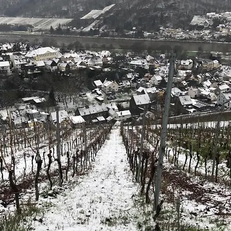 Apart Otel Ter Wadding An Der Mosel