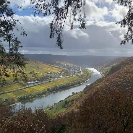 Lejlighedshotel Ter Wadding An Der Mosel